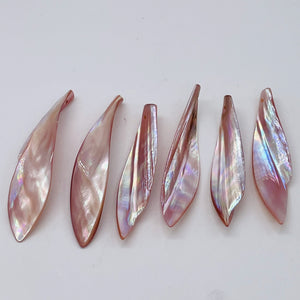 1 Designer Blade Cut Pink Mussel Shell Pendant Bead 4423B