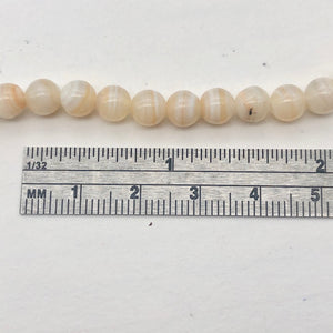White and Orange Sardonyx Bead Strand | 6mm | White/Orange | Round | 68 Beads| - PremiumBead Alternate Image 3