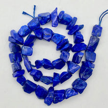 Load image into Gallery viewer, Intense! Natural Gem Quality Lapis Lazuli Bead Strand!| 46 beads | 11x10x6mm | - PremiumBead Alternate Image 6
