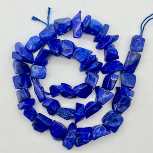 Intense! Natural Gem Quality Lapis Lazuli Bead Strand!| 46 beads | 11x10x6mm | - PremiumBead Alternate Image 6