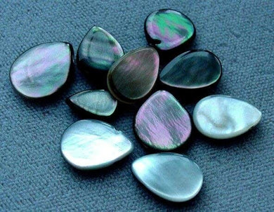 Exotic Tahitian Mop Flat Briolette 10 Beads 004334 - PremiumBead Primary Image 1