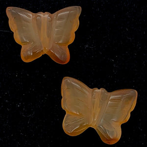 Flutter Carved Carnelian Butterfly Bead Strand | 15x19x5mm-19x21x5mm | Orange