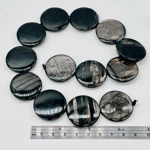 Silver Mirrors Hypersthene 29x7mm Disc Pendant Beads | 2 Beads |