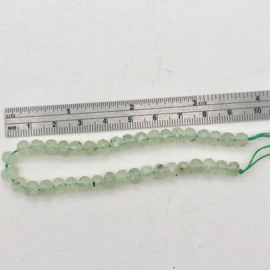 Rare Gemmy Prehnite Faceted Half-Strand | 6x5 or 4mm | Green | Roundel | 36 bds| - PremiumBead Primary Image 1