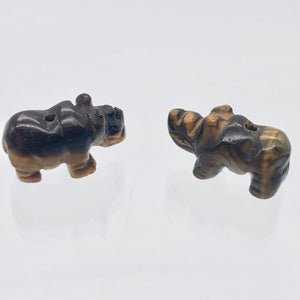 2 Tiger Eye Hand Carved Rhinoceros Beads, 21x13x10mm, Golden 009275TE | 21x13x10mm | Golden - PremiumBead Alternate Image 2