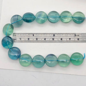 Rare Gem Quality Natural Blue Fluorite 15x8mm Coin 8 Inch Strand | 13 Beads |