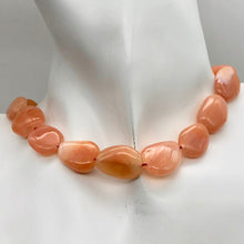 Load image into Gallery viewer, Chalcedony Oval Carved Stone | 18x13x7 to 15x12x7 | Orange Pink | 12 Bead(s)
