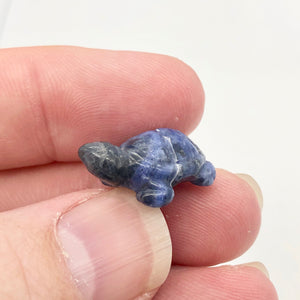 Adorable 2 Sodalite Carved Turtle Beads | 20x12.5x8mm | Blue white - PremiumBead Alternate Image 3