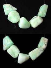 Load image into Gallery viewer, 365cts 5 Designer Natural Chrysoprase (New Zealand Jade) Beads 008491I - PremiumBead Primary Image 1
