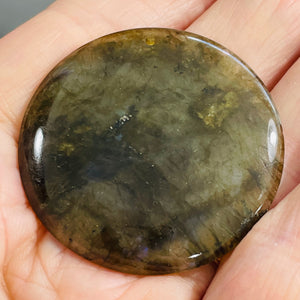 Labradorite Disc Pendant Bead | 45x5mm | Green Black | 1 Bead |
