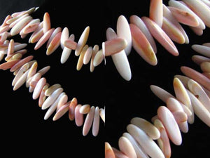 16 Pink Conch Shell 9x3x3mm to 15x4x3mmSpike Briolette Beads 9461A - PremiumBead Primary Image 1