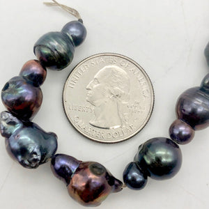 Magnificent!! 2 one of a kind Black Peacock Fireball FW Pearl - PremiumBead Alternate Image 5