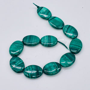 Exquisite Patterned Natural Malachite Oval Coin Bead 7.75 inch Strand 10249HS