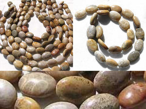 Fossilized Coral Oval Focal Bead Strand 108970 - PremiumBead Alternate Image 3