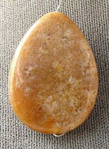 Fossilized Coral Flat Pear Pendant Bead Strand 107084 - PremiumBead Alternate Image 2