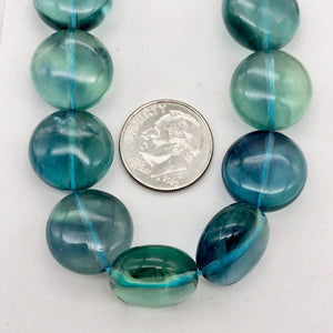 Rare Gem Quality Natural Blue Fluorite 15x8mm Coin 8 Inch Strand | 13 Beads |