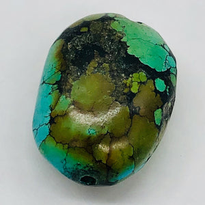 Natural Turquoise Nugget Focus Master 44cts Bead | 25x19x13 | Blue Brown| 1 Bead