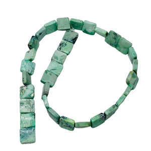 Mojito Natural Green Turquoise Square Coin Bead Strand 107412G