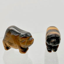 Load image into Gallery viewer, Piggies Hand Carved Tigereye Pig Bead Strand | 25x19x12mm | Golden Brown
