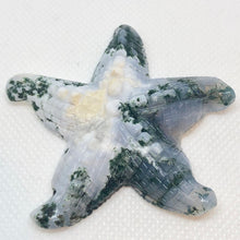 Load image into Gallery viewer, Druzy Tree Agate Carved Starfish Large Pendant Bead 6714Ai - PremiumBead Primary Image 1
