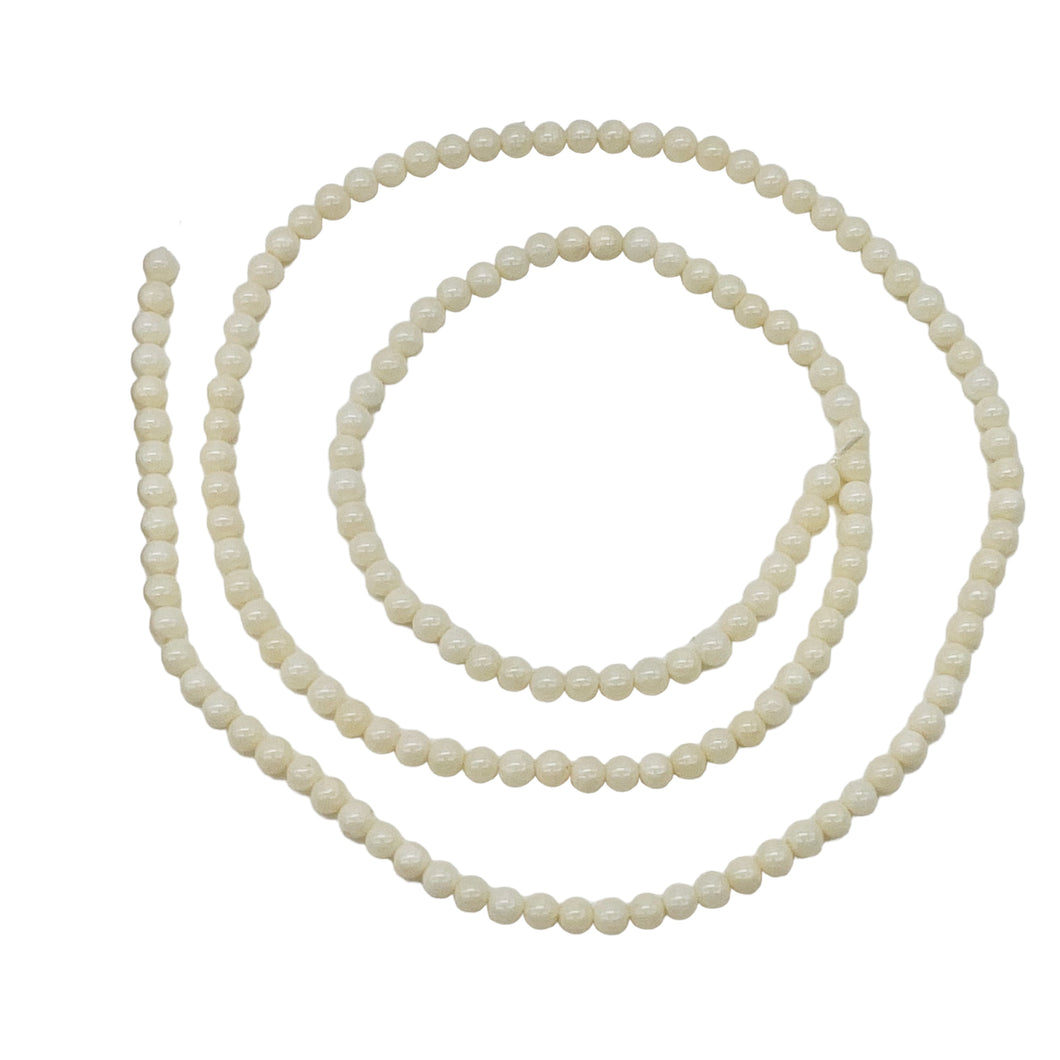 Natural Creamy White Coral Bead Strand 110454