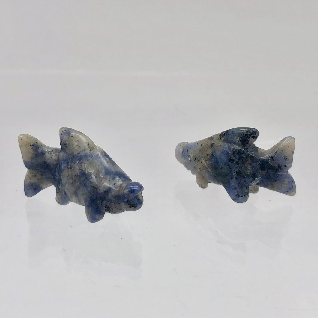 Swimming 2 Hand Carved Sodalite Koi Fish Beads | 23x11x5mm | Blue white - PremiumBead Primary Image 1