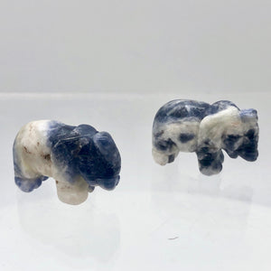 Wild 2 Hand Carved Sodalite Elephant Beads | 22.5x21x10mm | Blue white - PremiumBead Alternate Image 2