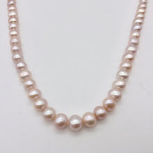 Load image into Gallery viewer, Lovely! Natural Peach Freshwater Pearl 16&quot; Strand Graduated 6mm to 8mm 110811B - PremiumBead Primary Image 1
