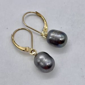 South Sea Pearl 14k Gold Lever Back Drop Earrings | 1" Long | Gray | 1 Pair |