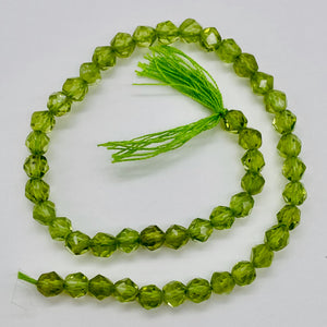 Peridot Faceted Half-Strand Round Beads | 7x4mm | Green | 47 Beads |