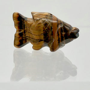 Swimmin' 2 Carved Tigers Eye Fish Koi Carp Beads | 23x11x8mm | Gold