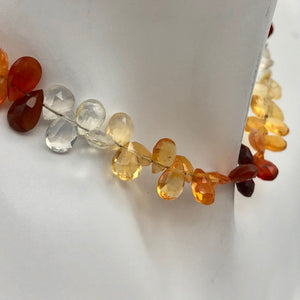 26.75cts Untreated Mexican Fire Opal 7" Briolette Bead Strand | 6-8mm | 10230B - PremiumBead Primary Image 1