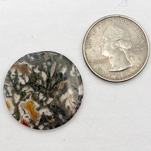 Load image into Gallery viewer, Moss Agate 24mm Disc Pendant Bead 4848Bp - PremiumBead Alternate Image 4
