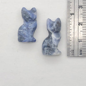 Adorable! 2 Sodalite Sitting Carved Cat Beads | 21x14x10mm | Blue white