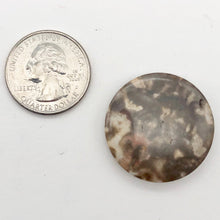 Load image into Gallery viewer, Exotic Tiger Jasper Disc Pendant Semi Precious Stone 13 Bead Strand| 30x5mm | - PremiumBead Alternate Image 10
