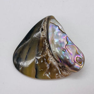 Abalone Hinge Shell | 33x37x10mm | Silver Pink | 1 Pendant Bead |