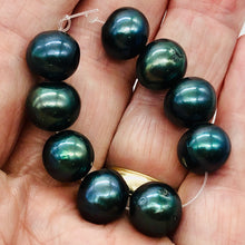 Load image into Gallery viewer, Fresh Water Pearls Round | 11-12 mm | Blue Peacock | 8 Bead
