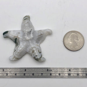 Tree Agate Carved Starfish Pendant Bead - PremiumBead Alternate Image 3