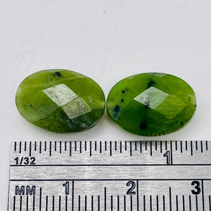 Intense Faceted Moss Jade Focal 14x10x6mm Bead Strand 102482