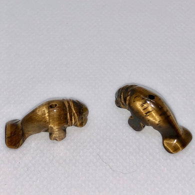 Tiger Eye Carved Manatee Beads | 21x11x9mm | Golden brown - PremiumBead Primary Image 1
