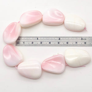Conch Shell. Pear Shape | 27x19x8 to 28x22x10 | Pink White | 8 Bead(s)