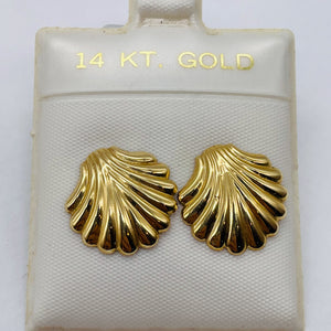 Gold Sea Shell 14K Post Earrings | 5/8" Long | Gold | 1 Pair Earrings |
