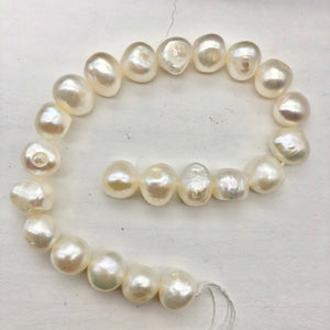 Baroque Creamy White FW Pearl 8" Strand| 9.5x9x6 to 13x9x6mm| White| 21 Pearls | - PremiumBead Alternate Image 5
