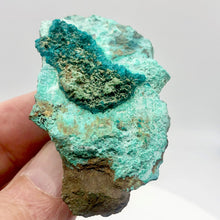 Load image into Gallery viewer, Stunning Dioptase on Chrysocolla Display Specimen | 2.25x1.5x.75&quot; | Green | - PremiumBead Alternate Image 7

