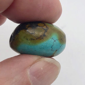 Genuine Natural Turquoise Nugget Focus or Master Bead | 36cts | 22x18x14mm - PremiumBead Alternate Image 4