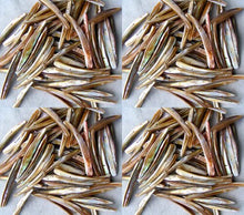 Load image into Gallery viewer, 20 Bronze Mussel Shell Double Drill Plank Beads 008096 - PremiumBead Primary Image 1
