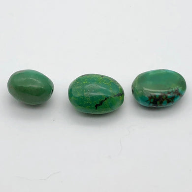 Amazing! 3 Genuine Natural Turquoise Nugget Beads 75cts 010607U - PremiumBead Primary Image 1