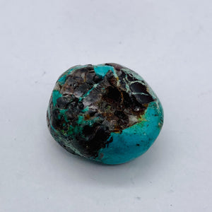 Genuine Natural Turquoise Nugget Focus or Master 57cts Nugget | 26x23x14 | Blue Brown | 1 Bead