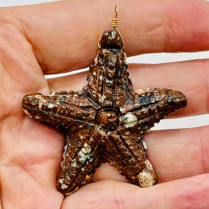 Starfish 14K Gold Filled Starfish Pendant | 2 1/2" Long | Brown White | 1 |