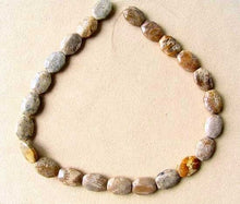 Load image into Gallery viewer, Stellar 3 Fossilized Coral Cameo Cut Beads 7384A - PremiumBead Alternate Image 3
